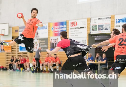 TV Möhlin - Handball Emmen (02.04.2019)